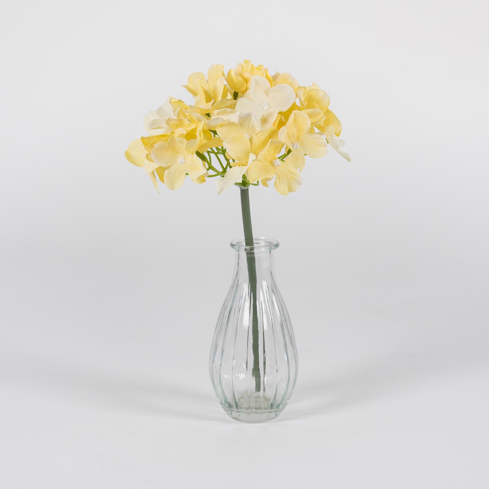 Pale Yellow Hydrangea Stem - Tableday