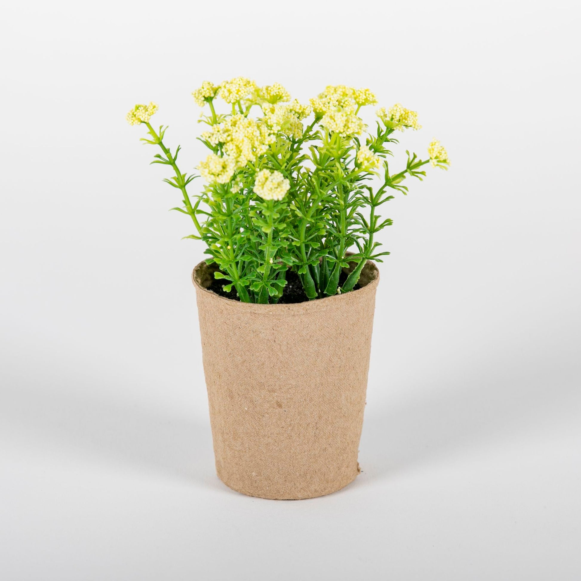 Primrose Yellow Flower Pot - Tableday